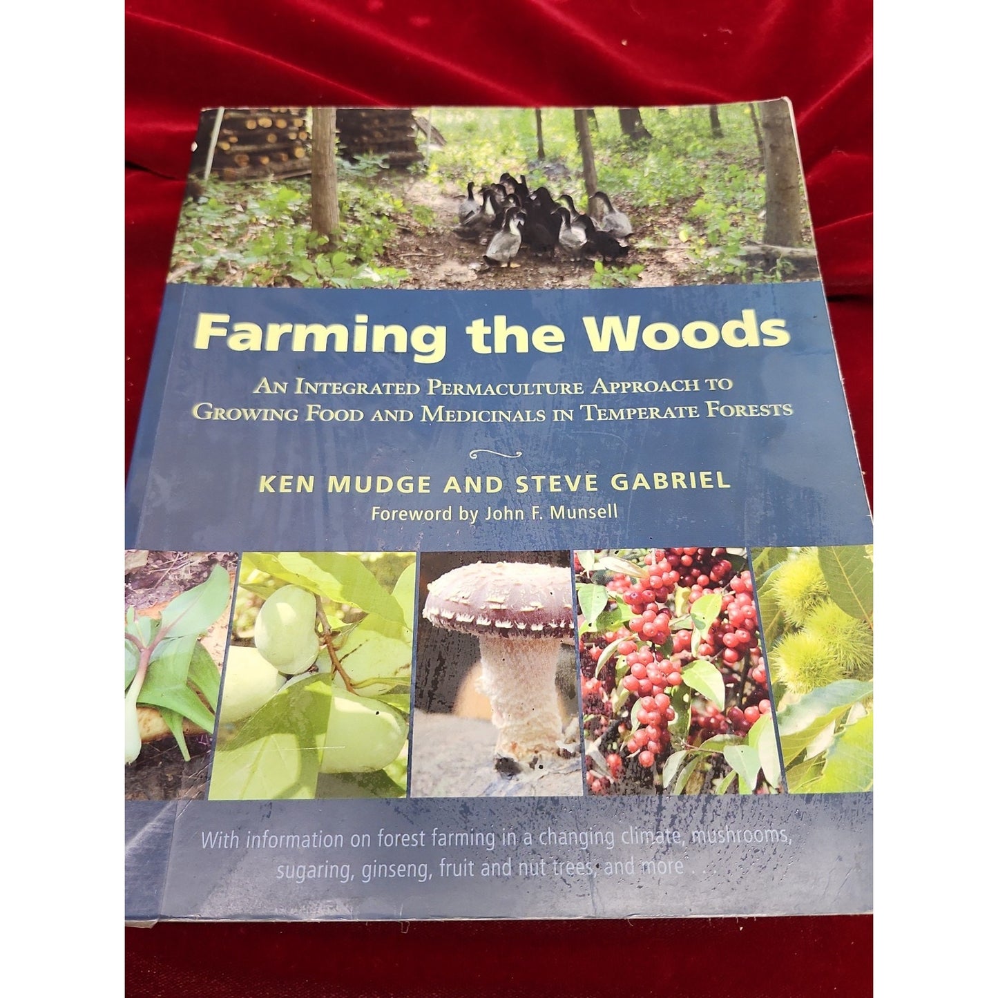 Farming the Woods Permaculture Agroforestry Medicinals Mudge Gabriel PB