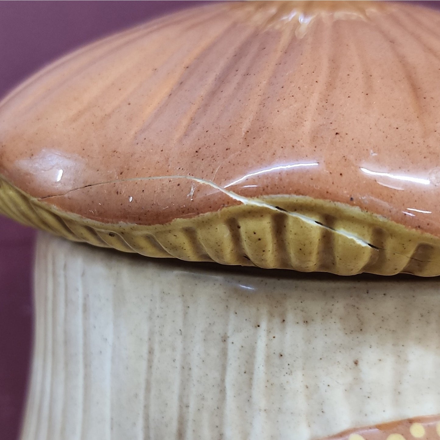 Arnel Vintage Ceramic Mushroom Cookie Jar / Canister Signed J. Thorne 1975