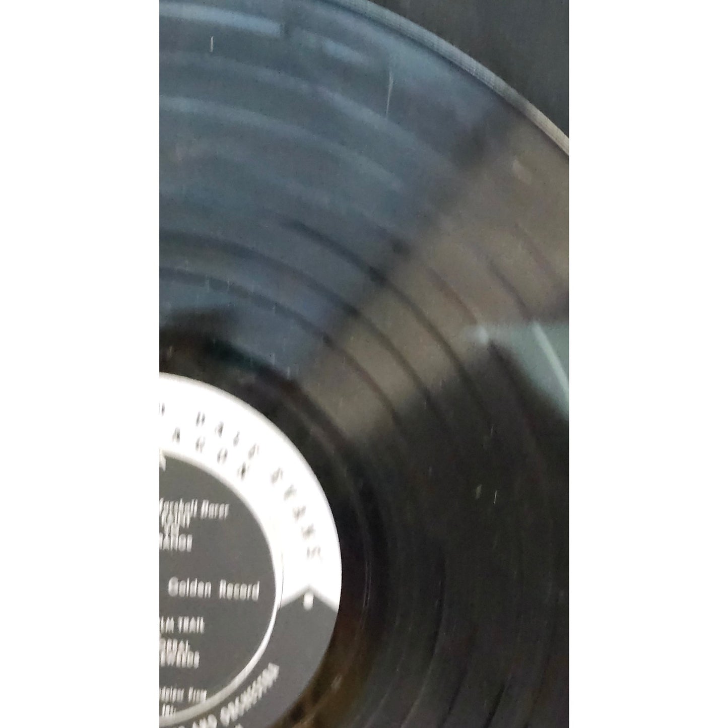 Roy Rogers Dale Evans Song Wagon Vinyl LP Album Golden Records Western 33 RPM