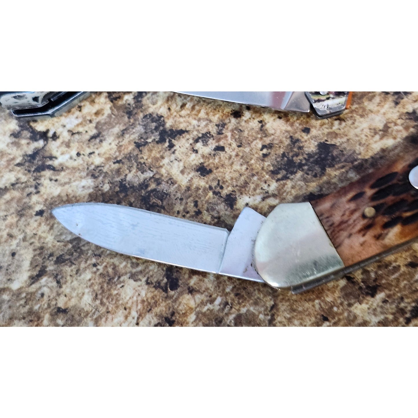 Rough Rider 3 Blade Folding Pocket Knife Brown Bone Handle Stainless Steel Lot