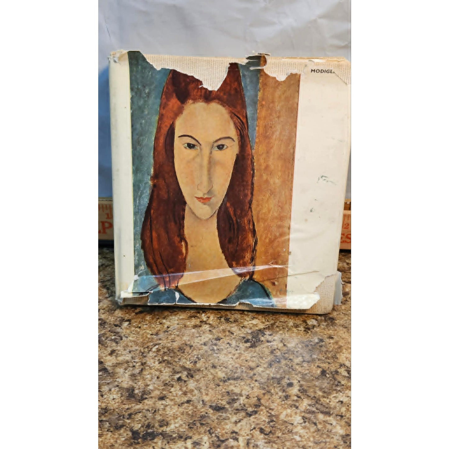 Vintage 1958 Modigliani Hardcover Skira Art Book Masterpieces French Painting