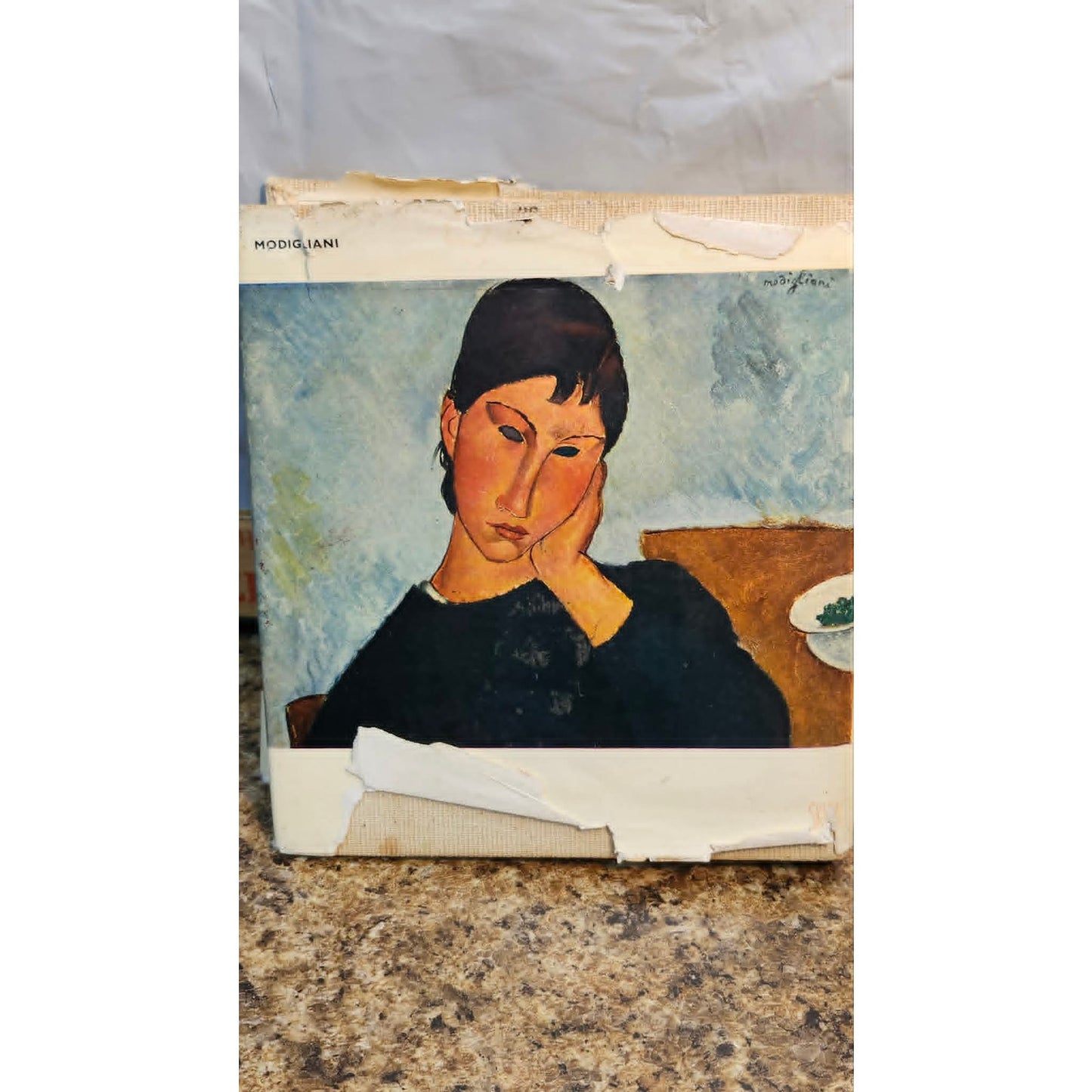 Vintage 1958 Modigliani Hardcover Skira Art Book Masterpieces French Painting