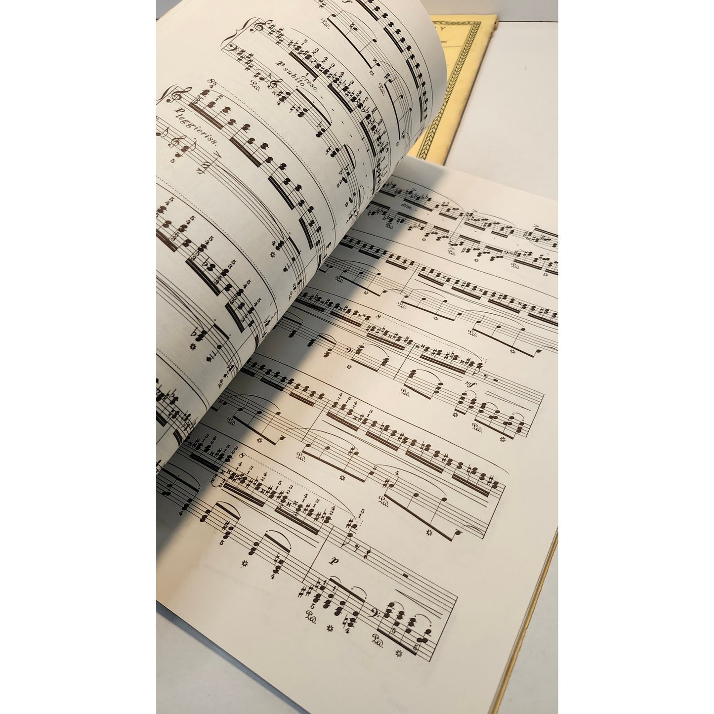 Chopin Schirmer’s Library Piano Sheet Music Classics Ballades Waltzes Lot of 4