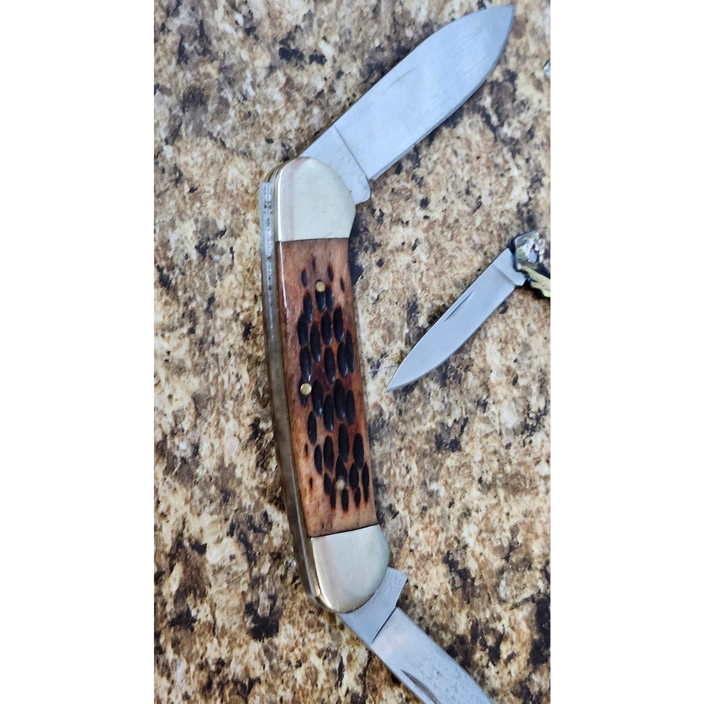 Rough Rider 3 Blade Folding Pocket Knife Brown Bone Handle Stainless Steel Lot